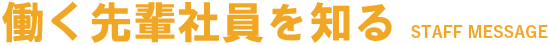 働く先輩社員を知る
